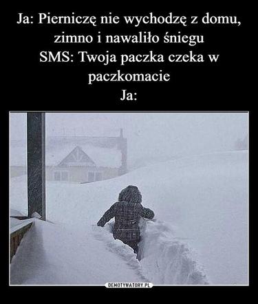 Memy o zimie roztapiają smutki. Te śnieżne obrazki rozbawią cię do łez [TOP 75]