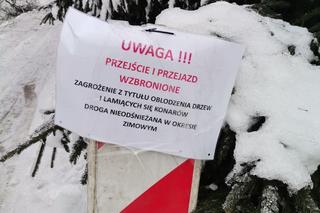 Armagedon na Dolnym Śląsku. Te drogi i lasy zostały zamknięte