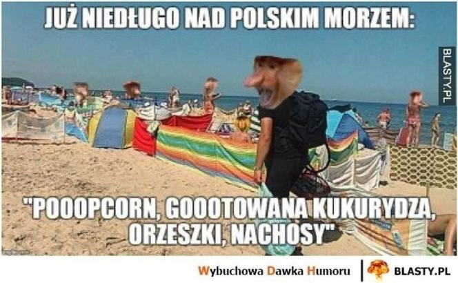 Wakacje rozpoczęte! Polacy ruszyli na plaże! Zobacz najlepsze MEMY!