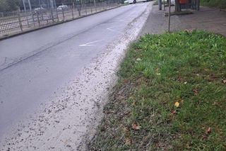 Betonowa ścieżka ciągnęła się prawie kilometr