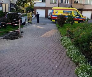 Niewiarygodne! 22-latek skoczył z drugiego piętra i uciekł do mieszkania. Co się stało w Siedlcach?