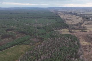 Budowa S74 Kielce - Mniów