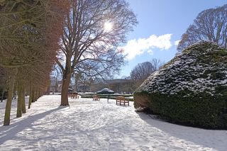Park Oliwski. Palmiarnia i Pałac Opatów. Za darmo w Gdańsku