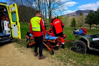 Turysta ukąszony przez żmiję.