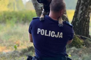 Trawka - nowy pies suwalskiej Policji