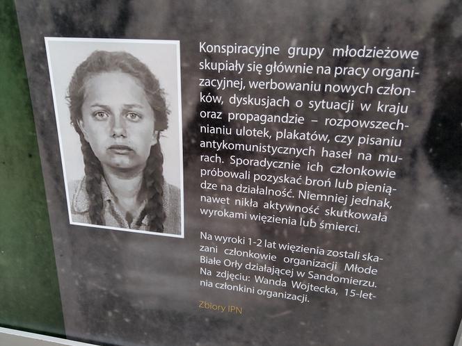 Dzień Żołnierzy Wyklętych 2021 w Kielcach. Wystawa na Skwerze Żeromskiego