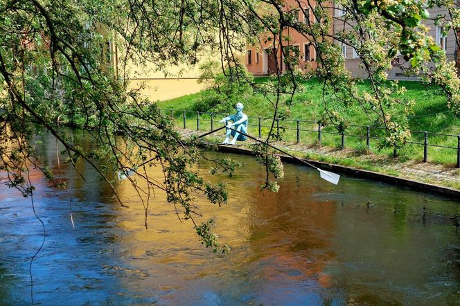 Zachwycające rzeźby Jerzego Kędziory balansują nad miastem. W Bydgoszczy trwa niecodzienna wystawa
