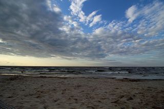 Sinice atakują polskie plaże! Zamknięto 11 kąpielisk