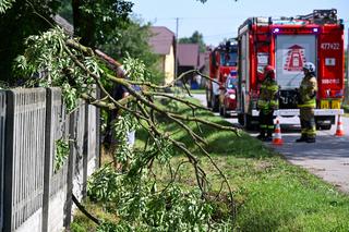 Straż pożarna usuwa skutki nawałnic. Ponad 100 interwencji na Podkarpaciu!