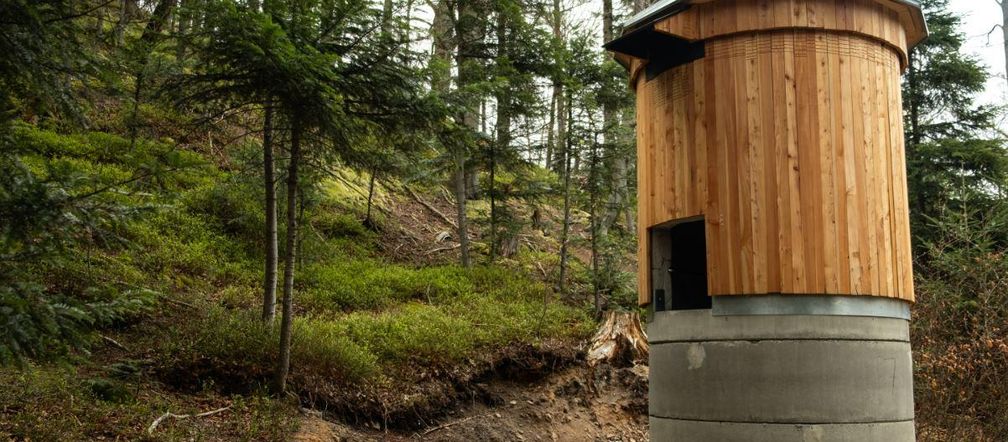 Wieża dla nietoperza. Pierwszy taki obiekt w Polsce powstaje na Podkarpaciu