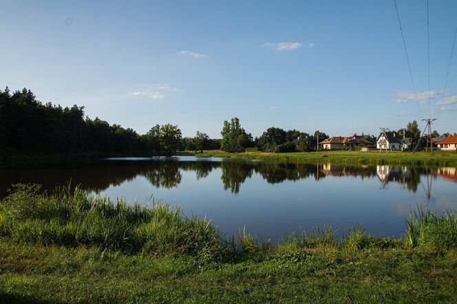 Staw Traczewskich w Głogowie Małopolskim.