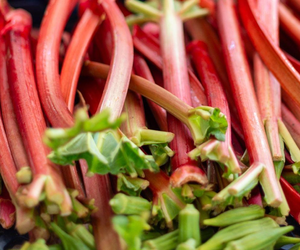 rabarbar - 20 przepisów