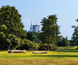 Najpiękniejszy park na świecie znajduje się w Warszawie? Ten Central Park wygląda jak z bajki Disneya