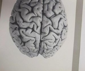 Tajemnica mózgu Piłsudskiego. Nieznany album w archiwach