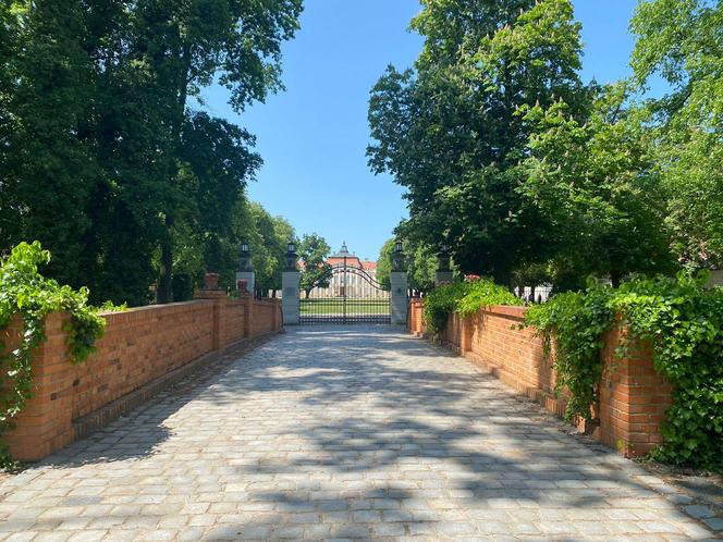 Pałac w Rogalinie zachwyca turystów. Znajduje się 20 kilometrów od Poznania 