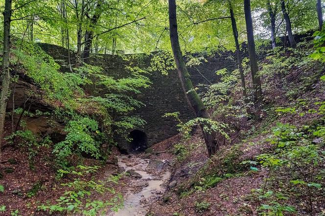 Największy kamienny most zbudowany przez jednego człowieka jest w Małopolsce. Tylko nieliczni mogą go zobaczyć