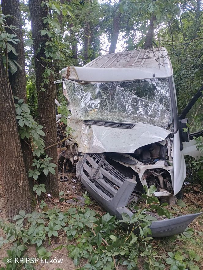 Bus rozbił się na drzewie. Wielu poszkodowanych, śmigłowiec LPR w akcji