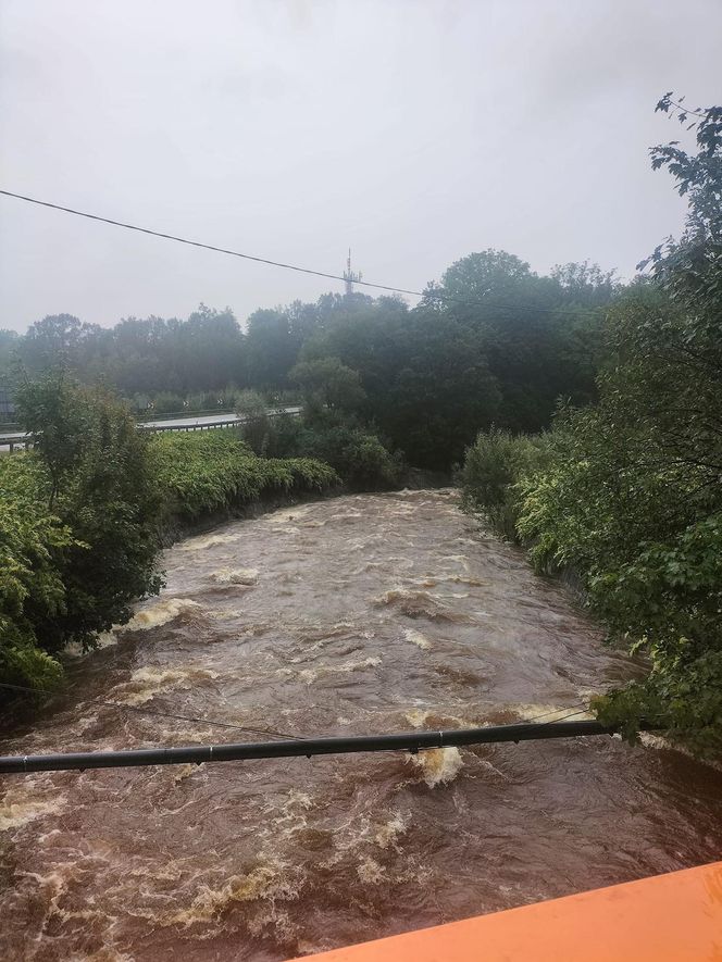 Przez to miasto przeszła powódź. Już zapraszają turystów. "Sami nie damy sobie rady"