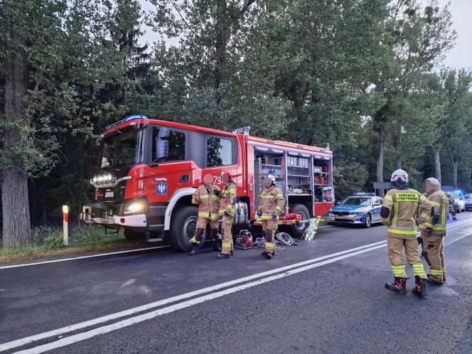 Przytoczna. Śmiertelny wypadek na DK 24. 49-latek nie żyje [ZDJĘCIA].