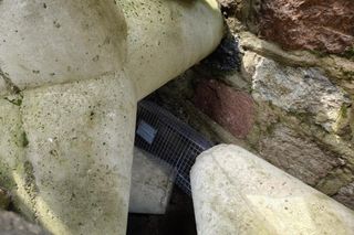 Pies uwieziony na falochronie.