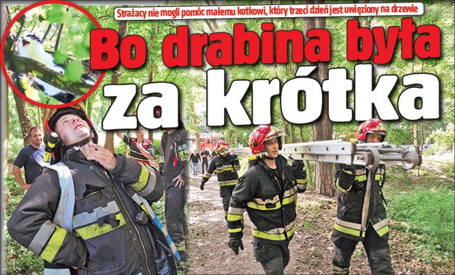 Bo drabina była za krótka