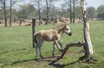 10 ciekawostek o Mazurach. Nie wiedzą o nich nawet mieszkańcy regionu [ZDJĘCIA]