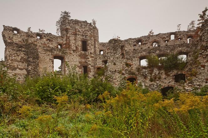 Niezwykły zamek w Małopolsce. Kiedyś był prawdziwą twierdzą, zostały po nim tylko ruiny 