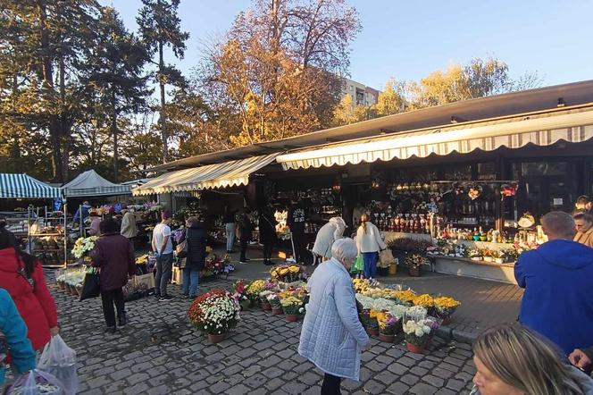 Tłumy na grobach we Wrocławiu. Zobaczcie zdjęcia z cmentarzy [GALERIA]