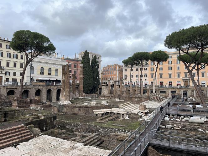 Largo Argentina w Rzymie. Koty zamieszkały w starożytnych ruinach - zobacz zdjęcia