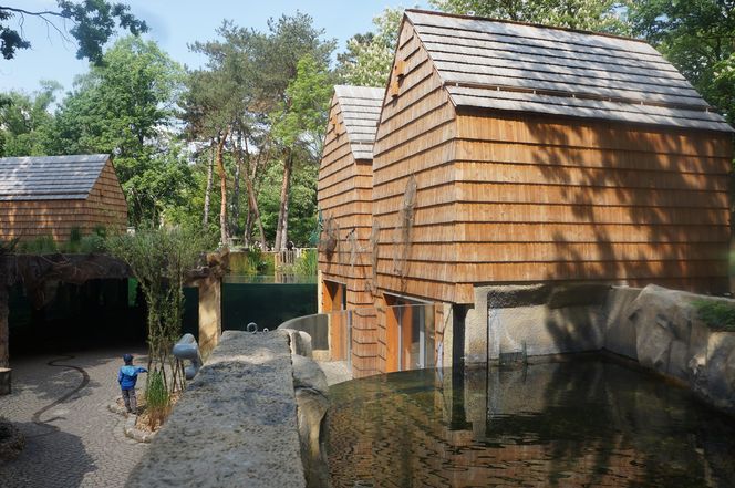 Dni Odry we wrocławskim zoo