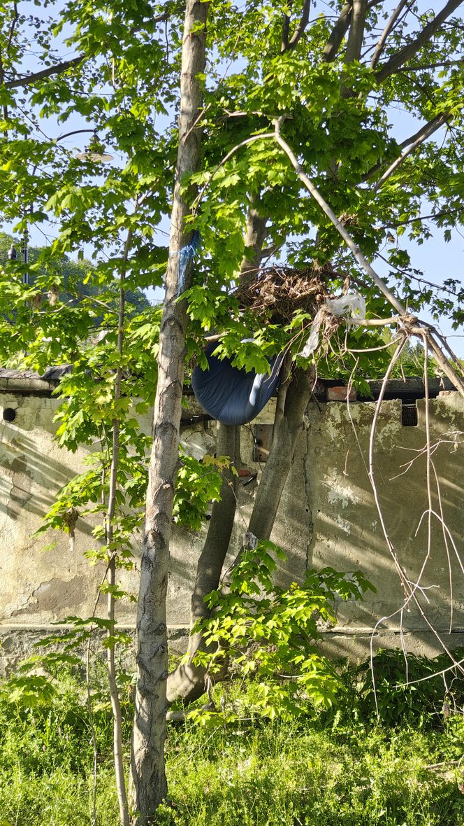 Byliśmy w Kłodzku i Lądku-Zdroju. Tak wyglądają dziś miasta 7 miesięcy po powodzi