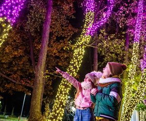 W MikoW Mikołowie można odiwedzac wystawe instalacji świetlnych Garden of Lights! Przedstawiona jest historia Piotrusia Pana