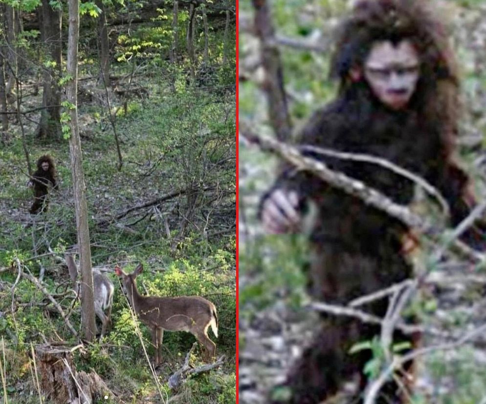 Takich zdjęć yeti jeszcze nie było! Przerażenie miesza się ze śmiechem