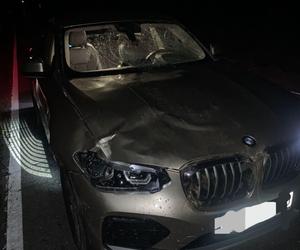 Kierujący bmw dwukrotnie zderzył się z jeleniem