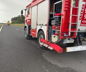 Śmiertelny wypadek na S7! Dwóch mężczyzn nie żyje. Bus huknął w bariery i wpadł do rowu [ZDJĘCIA]