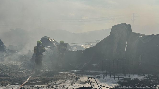 Pożar hali przemysłowej hurtowni zniczy przy ulicy Dojazd w Tarnowie