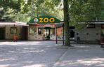 Nowe Zoo w Poznaniu