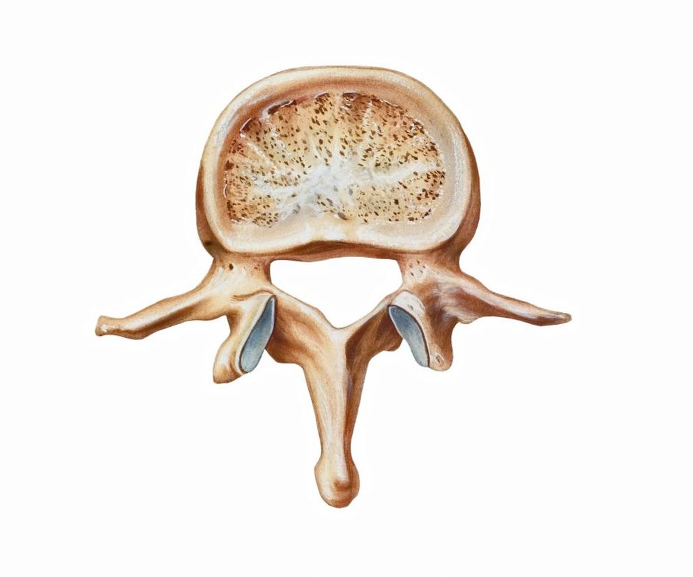 Osteopenia  to  choroba kości,  w przebiegu której dochodzi do zmniejszenia się gęstości mineralnej kośćca. Osteopenia powszechnie jest uważana za wczesne stadium osteoporozy. Jakie są przyczyny i objawy osteopenii? Na czym polega jej leczenie?