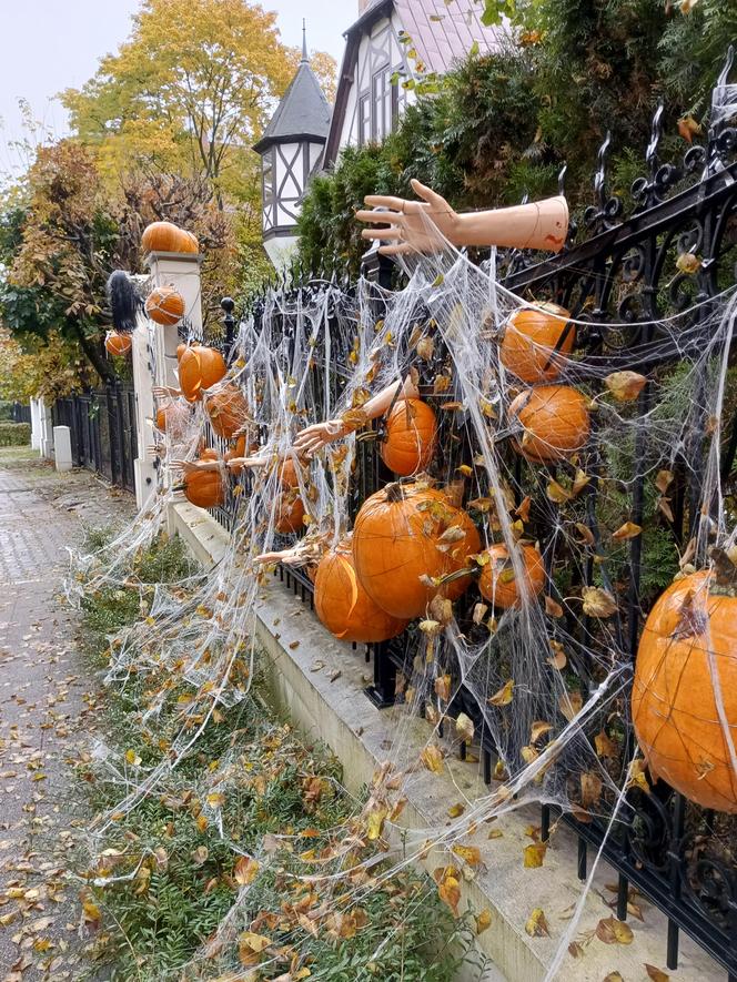 Willa na Jaśkowej Dolinie znów ozdobiona. Tym razem przechodniów zaskakują halloweenowe straszydła!