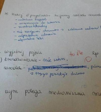 Hity z kartkówek i sprawdzianów. Tak uczniowie walczą o oceny na koniec roku szkolnego [GALERIA]