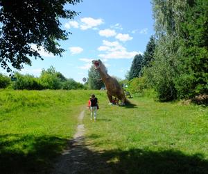 Dolina Dinozaurów na Podzamczu w Łęcznej. Przerażone konie stawały dęba