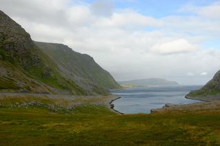 Ta miejscowość oferuje darmowe mieszkanie przez rok. Tak chce przyciągnąć mieszkańców