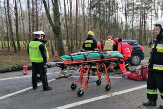 Przasnysz. Auto z kobietą i dzieckiem uderzyło w drzewo! Później spadł na nie pień! [ZDJĘCIA]