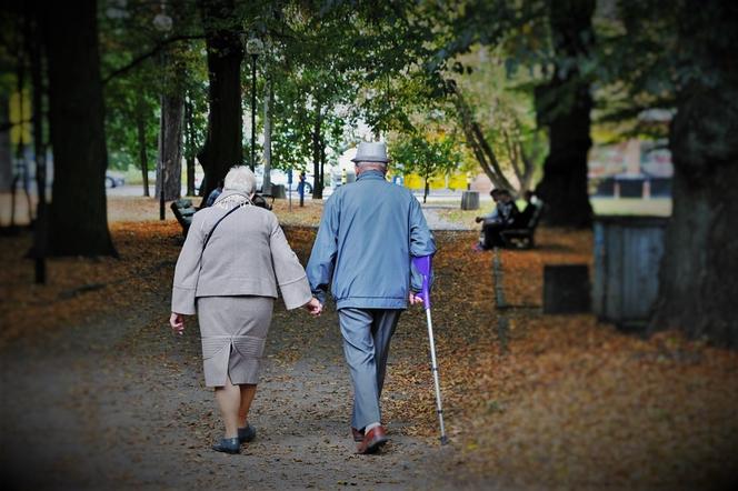 Gorzowscy seniorzy mogą zamawiać obiady. Tym razem są one płatne!