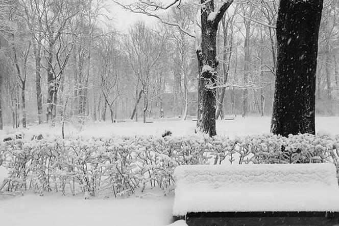 Park Planty zasypany śniegiem