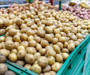 Ceny ziemniaków odstraszają. Kosztują krocie! Znamy kwotę za kilogram