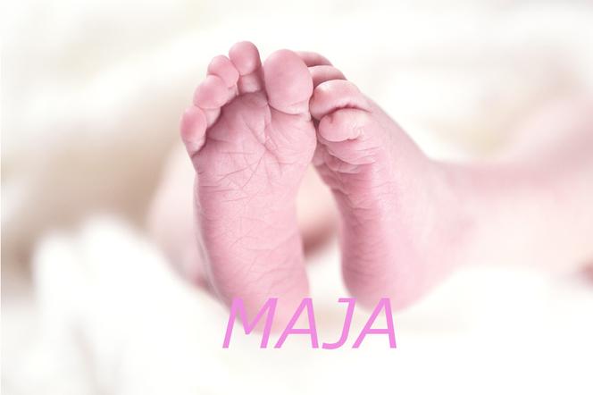 MAJA