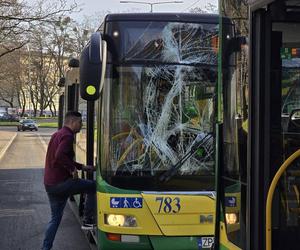 Zderzenie autobusów w Szczecinie 