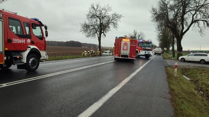 Matka i dzieci poszkodowane w wypadku koło Leszna