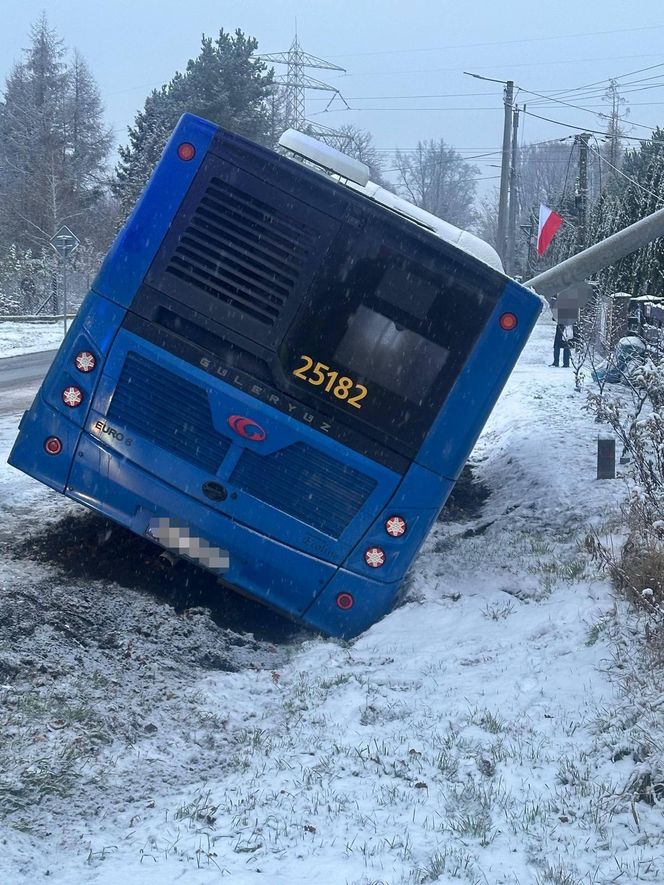 Autobus uderzył w słup (22.11.2024)